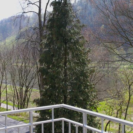 Haus Elbsinfonie Villa Bad Schandau Ngoại thất bức ảnh