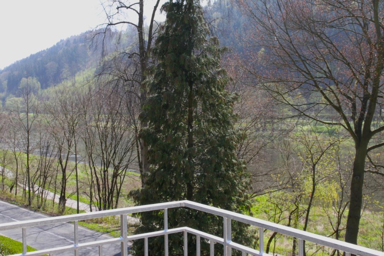 Haus Elbsinfonie Villa Bad Schandau Ngoại thất bức ảnh